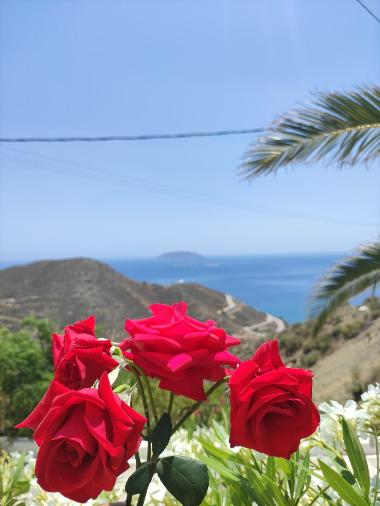 The Anafians Hotel apartamentowy *